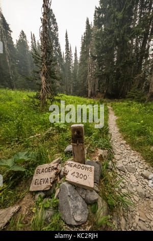 Hoh River Trail zum Blue Glacier, Olympic National Park, Washington State, USA Stockfoto