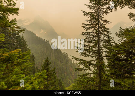 Waldbrand Rauch geblasen durch regionale Brände entlang des Hoh River Trail zum Blue Glacier, Olympic National Park, Washington State, USA Stockfoto