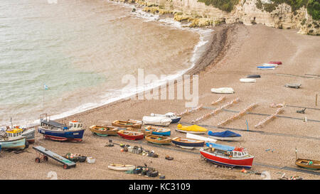 Strand bei der Ortschaft Bier in Devon, England Stockfoto