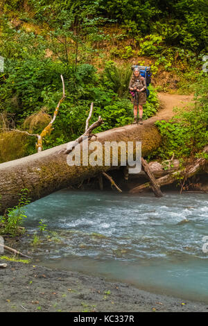 Blockbrücke über einen Nebenfluss des Hoh River entlang des Hoh River Trail zum Blue Glacier, Olympic National Park, Washington State, USA Stockfoto