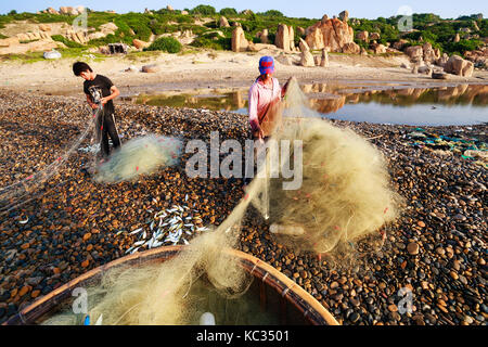 Fischer bei Co thach Strand am frühen Morgen sammeln, Binh Thuan, Vietnam. co thach Strand ist neue Ziel für Fotografen. Stockfoto