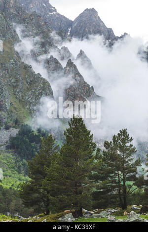 Riesige Tannen in die Berge, hohe Gipfel, die von Nebel und Wolken bedeckt Stockfoto