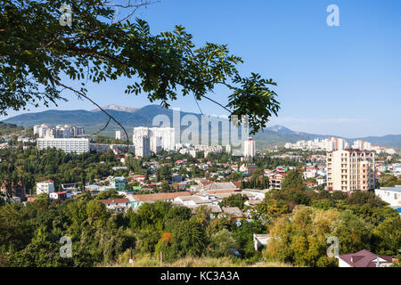 Reise auf die Krim - Green Tree Branch und oben Ansicht von Aluschta Stadt vom Castle Hill in sonniger Morgen Stockfoto