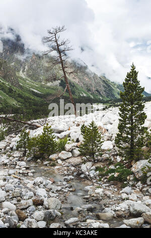 Dramatische Berglandschaft mit alten getrocknet Big Tree, Elbrus Region Stockfoto