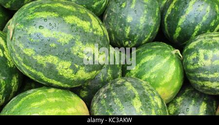 Wassermelonen Stockfoto