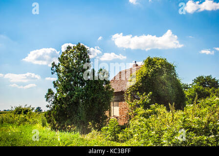 Verfallenes Bauernhaus, mit Gras bewachsene Stockfoto