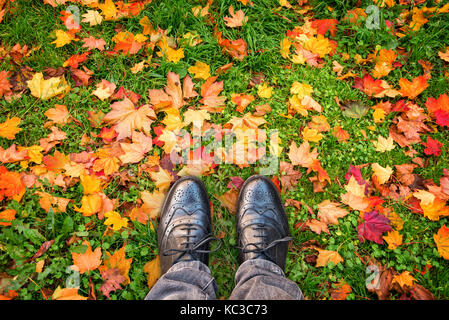 Auf der Suche nach Schuhe, bunte Herbstliche Blätter auf dem Boden, Herbst Konzept Stockfoto