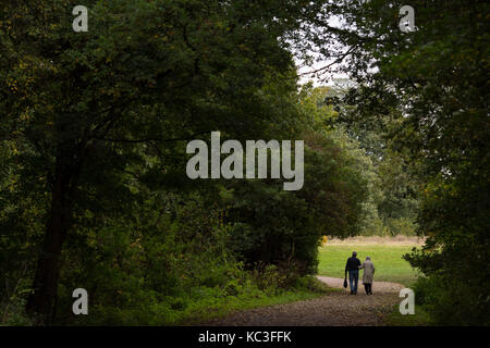 Wanderer in Thorndon Country Park in Brentwood, Essex. Stockfoto