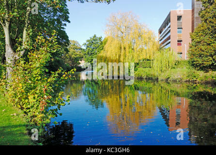 Ein Blick auf den Fluss Wensum mit modernen Mehrfamilienhaus in Norwich, Norfolk, England, Vereinigtes Königreich. Stockfoto