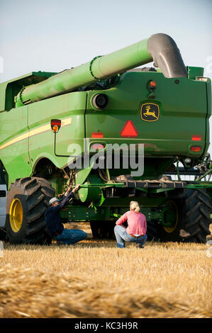 Eine junge weibliche Landwirt Gespräche mit angestellt, um die Hände vor der überschrift heraus zum Ernten von Weizen auf der Farm der Familie in Breckenridge, Colorado, wo sie wachsen 1. Stockfoto