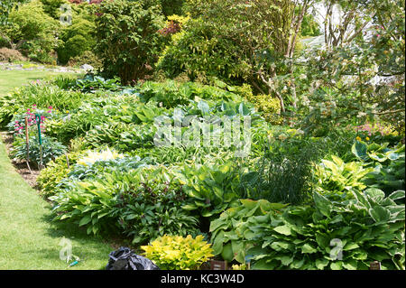 Schöne formalen Grenzen in holdhird Gärten im Lake District National Par, SSI, GB, gb England, Greta, Großbritannien Stockfoto