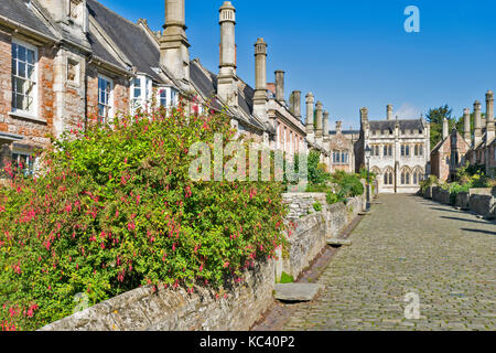 Brunnen STADT SOMERSET ENGLAND KATHEDRALE VIKARE SCHLIESSEN UND HÄUSER MIT STRASSE, DIE ZU DEN VIKAREN, Kapelle und Bibliothek Stockfoto