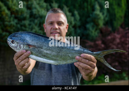 Angler Mark Bildende, der die ersten aufgezeichneten Dolphin Fische in britischen Gewässern gefangen, von Chesil Beach in Dorset. Der Fisch ist nicht native zu den britischen Gewässern. Stockfoto