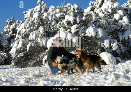 Mann kniet mit seinem Australian Shepherds an einem verschneiten Tag in New York zu spielen. Stockfoto