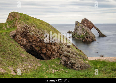 Bogen Sie Geige Rock, Portknockie, Moray, Schottland, Vereinigtes Königreich Stockfoto