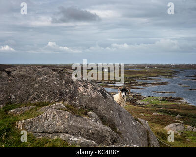 Nach Lochboisdale auf South Uist auf den Äußeren Hebriden, Schottland Stockfoto