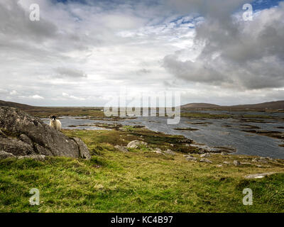 Nach Lochboisdale auf South Uist auf den Äußeren Hebriden, Schottland Stockfoto