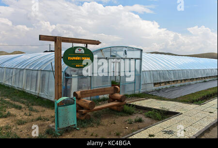 Treibhäusern für die Erdbeere Produktion im Boden - Substrate, Mongolisch-japanischen joint ventrue Alltag Farm LLC, Songino Khairkhan, Mongolei Stockfoto