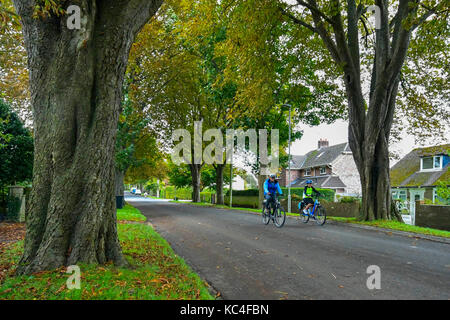 Dorchester, Dorset, Großbritannien. 2. Oktober 2017. UK Wetter. Zwei Radfahrer reiten entlang der herbstlichen suchen Avenue von Kastanienbäumen auf Manor Road in Dorchester, Dorset an einem warmen Herbsttag. Photo Credit: Graham Jagd-/Alamy leben Nachrichten Stockfoto