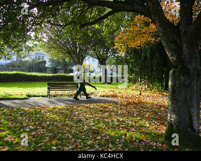 Newquay, Cornwall, England. 2. Okt 2017. UK Wetter. Herbst beginnt in Newquay wie die Blätter beginnen in der Nähe von Trenance See zu fallen. Credit: Nicholas Burningham/Alamy leben Nachrichten Stockfoto