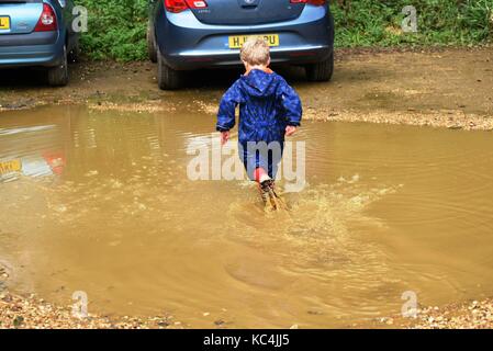 Blashford Lakes, Hampshire, Großbritannien. Oktober 2017. Wetter in Großbritannien. Das Herbstwetter hat Blashford Lakes, Hampshire, Großbritannien erreicht. Oktober 2017. Quelle: Ajit Wick/Alamy Live News Stockfoto