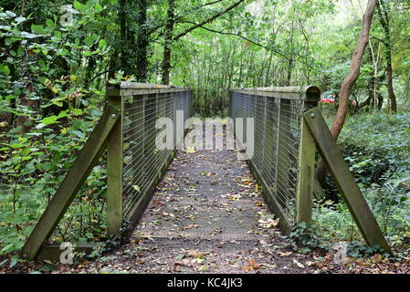 Blashford Lakes, Hampshire, Großbritannien. Oktober 2017. Wetter in Großbritannien. Das Herbstwetter hat Blashford Lakes, Hampshire, Großbritannien erreicht. Oktober 2017. Quelle: Ajit Wick/Alamy Live News Stockfoto