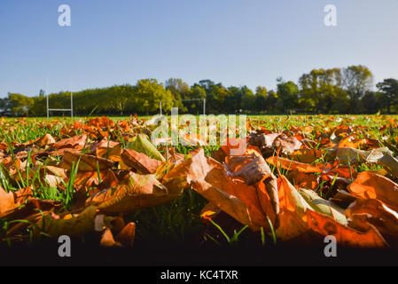 Downhills Park, London, UK. 3. Okt 2017. Herbstfarben in einem Park in Tottenham London. Quelle: Matthew Chattle/Alamy leben Nachrichten Stockfoto