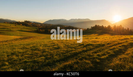 Italien, Trentino Alto Adige, wiesen nicht Tal in einem Herbst Tag. Stockfoto