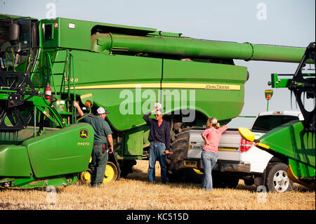 Eine junge weibliche Landwirt Gespräche mit angestellt, Hände, sowie eine GPS-Spezialist, vor der überschrift zum Ernten von Weizen auf der Farm der Familie in Breckenridge, n Stockfoto