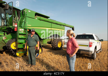 Eine junge weibliche Landwirt Gespräche mit angestellt, Hände, sowie eine GPS-Spezialist, vor der überschrift zum Ernten von Weizen auf der Farm der Familie in Breckenridge, n Stockfoto