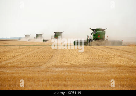 John Deere Mähdrescher Ernten von Weizen auf einem Bauernhof in Breckenridge, North Dakota Stockfoto