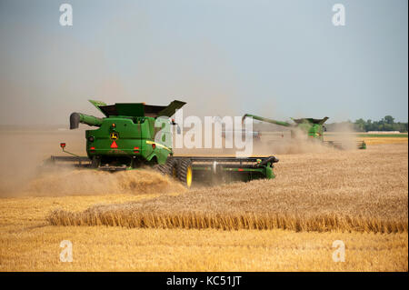 John Deere Mähdrescher Ernten von Weizen auf einem Bauernhof in Breckenridge, North Dakota Stockfoto