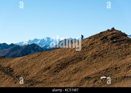 Italien, Trentino Alto Adige, Nonstal, zwei Wanderer mit ihrem Hund auf Luco Berg, im Hintergrund sehen Sie die Brenta Gruppe. Stockfoto