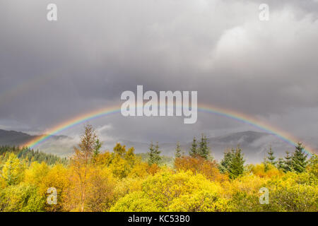 Herbst Regenbogen - Herzöge, Loch Lomond und der Trossachs National Park, Schottland, Großbritannien Stockfoto