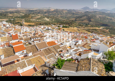 Blick über das weiße Dorf Olvera, Provinz Cadiz, Andalusien, Spanien Stockfoto