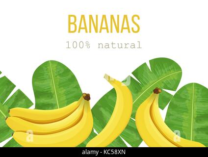 Bananen und tropischen Palmen, dichten Dschungel. Vector Illustration mit Tropic Motiv. text 100 Prozent natürliche Stock Vektor