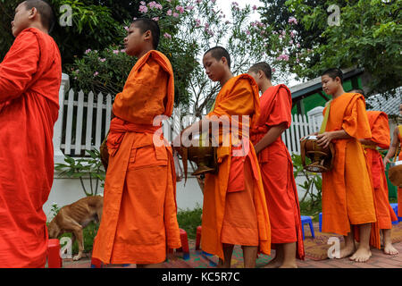 Luang Prabang, Laos - 9/23/2017: buddhistischen Mönchen Almosen sammeln in Luang Prabang, Laos Stockfoto