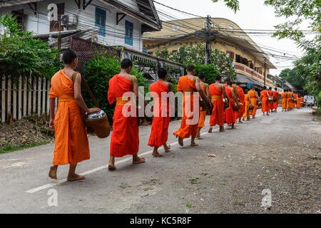 Buddhistische Mönche in einer Zeile in Luang Prabang, Laos Stockfoto