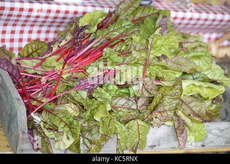 Ein Stapel von frischem Mangold, die auf eine Tabelle warten auf einen schönen Salat vorbereitet zu sein. Stockfoto