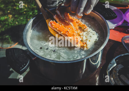 Entfernen großer gekochte Krabben aus heiß dampfenden Topf. kamtschatka King Crab in kochendes Wasser. Stockfoto