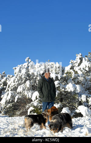 Der Mensch steht durch seine drei Australian Shepherds umgeben. New York winter schnee umgibt ihn unten und hinten. Vor allem Blau. Stockfoto