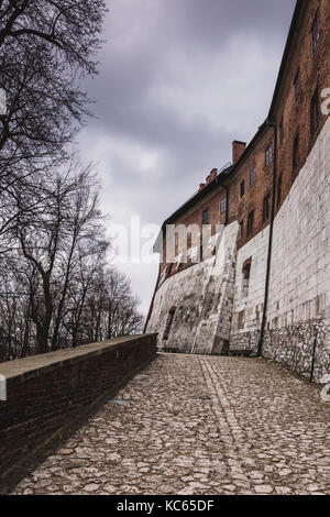 Blick auf das Schloss Wawel in Krakau, Polen Stockfoto