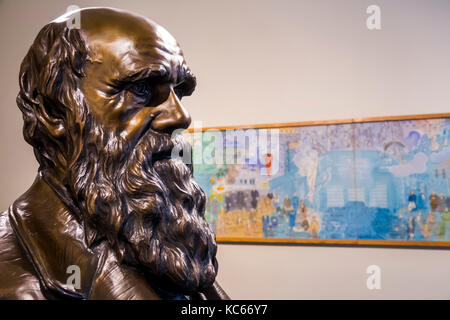 Washington DC, National Mall, National Academy of Science, NAS, Charles Darwin, Büste, innen, DC170527043 Stockfoto
