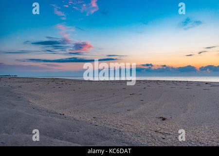 Muscheln und Algen auf einem Sandstrand mit dem Pier und den Leuchtturm in der Ferne kurz nach Sonnenaufgang gewaschen Stockfoto