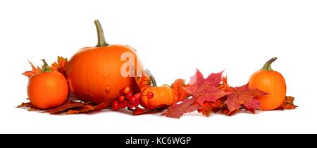 Herbst Grenze von Kürbissen und roten Herbstlaub auf weißem Hintergrund Stockfoto