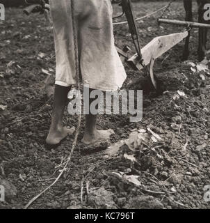 Alabama Pflug Mädchen, in der Nähe von Eutaw, Alabama, Dorothea Lange, 1936 Stockfoto