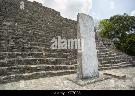 Maya Stelen am Calakmul archäologische Stätte Mexiko Stockfoto