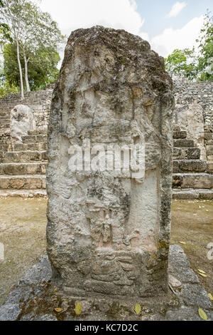 Maya Stelen mit flachen Fading Carving am Calakmul archäologische Stätte in Mexiko Stockfoto