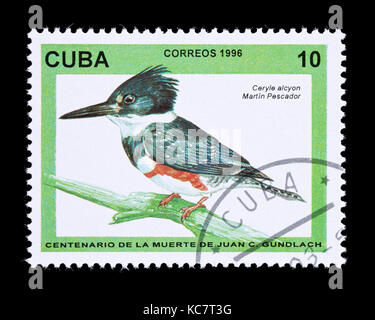 Porto stano frin Kuba mit der Darstellung eines belted Kingfisher (Megaceryle alcyon) Stockfoto