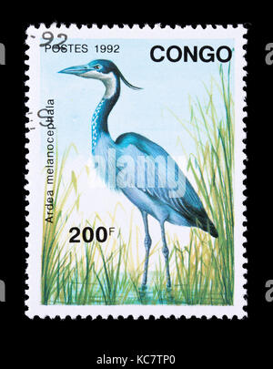 Briefmarke aus dem Kongo, die einen Schwarz-headed Heron (Ardea Melanocephala) Stockfoto